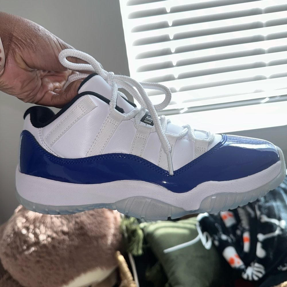 Retro 11 Concord grape GS
